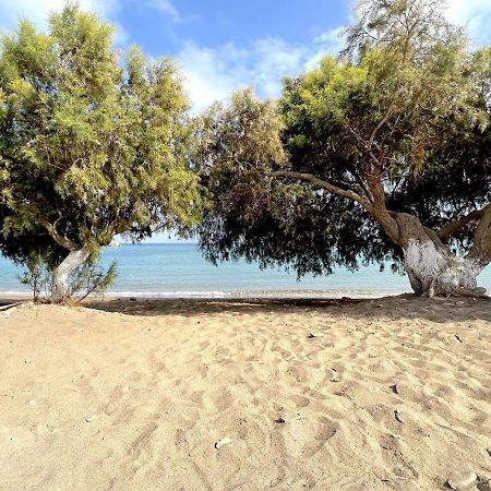 Studio At Beautiful Beach Kouremenos Apartment Anevato Bagian luar foto