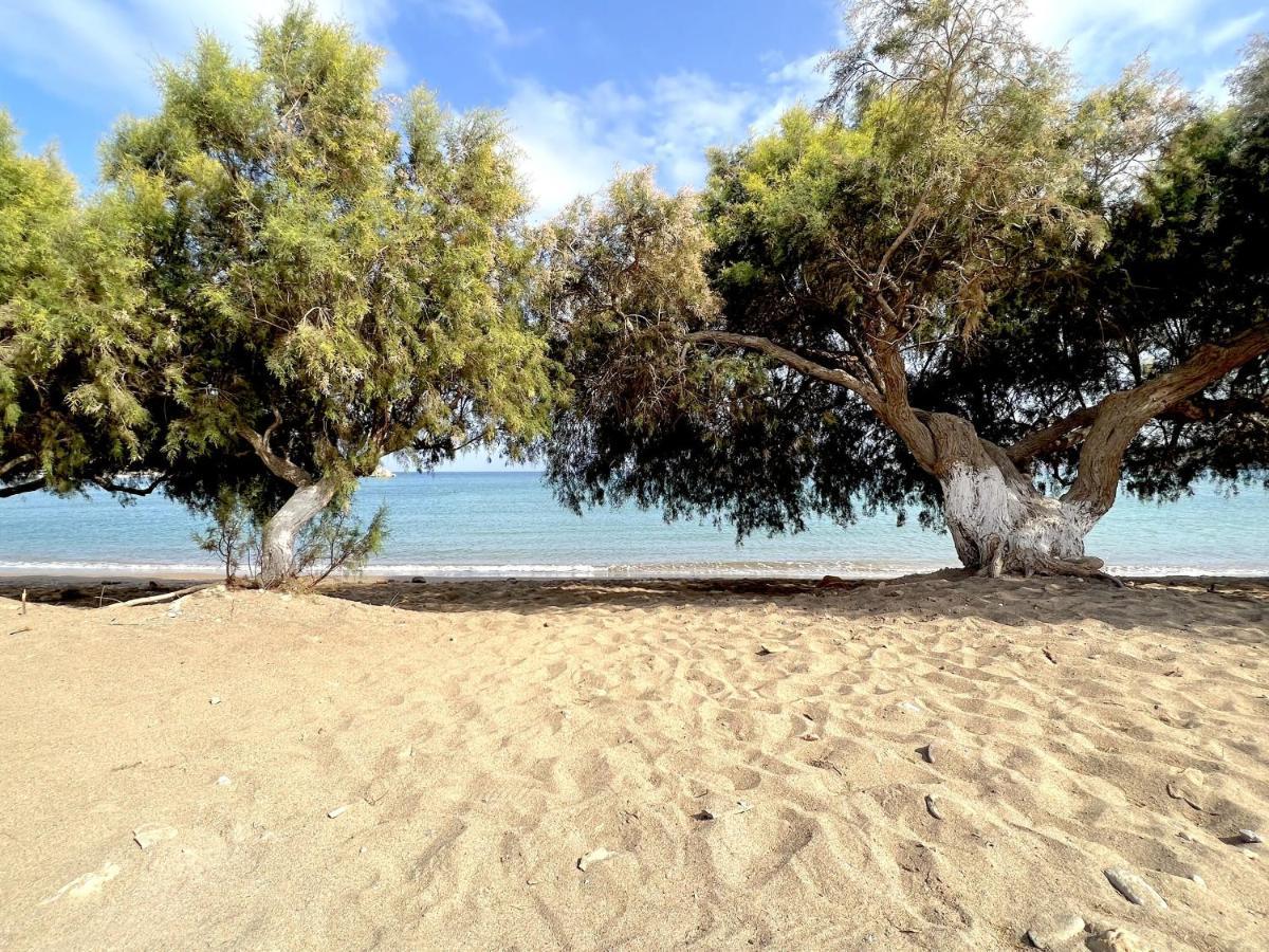 Studio At Beautiful Beach Kouremenos Apartment Anevato Bagian luar foto